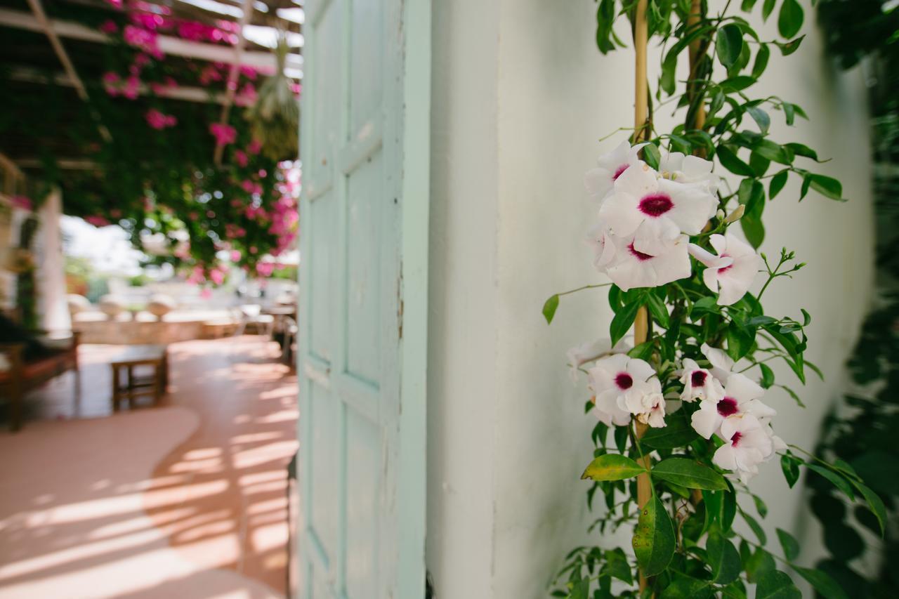 Gorgona Studios Faliraki Extérieur photo